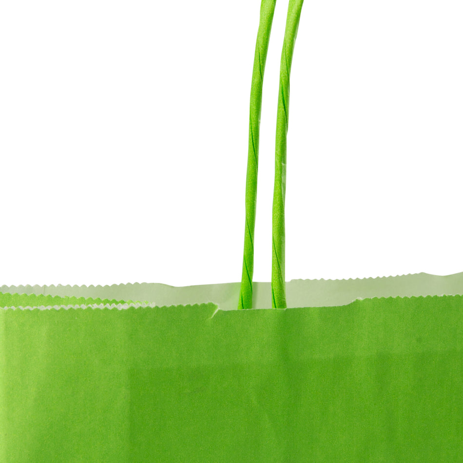 250pcs Green Spring Medium Internally Glued Paper Twisted Handle Carrier Bags