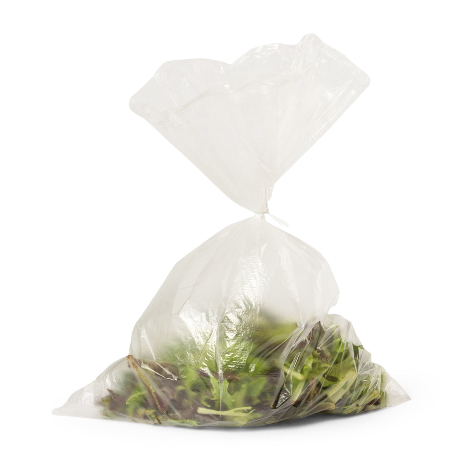 3-3513 SINZ RECOJAKE Bag / LP (12” size) 12