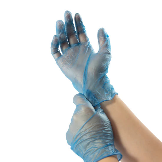 10 Boxes Lightly Powdered Large Vinyl Gloves