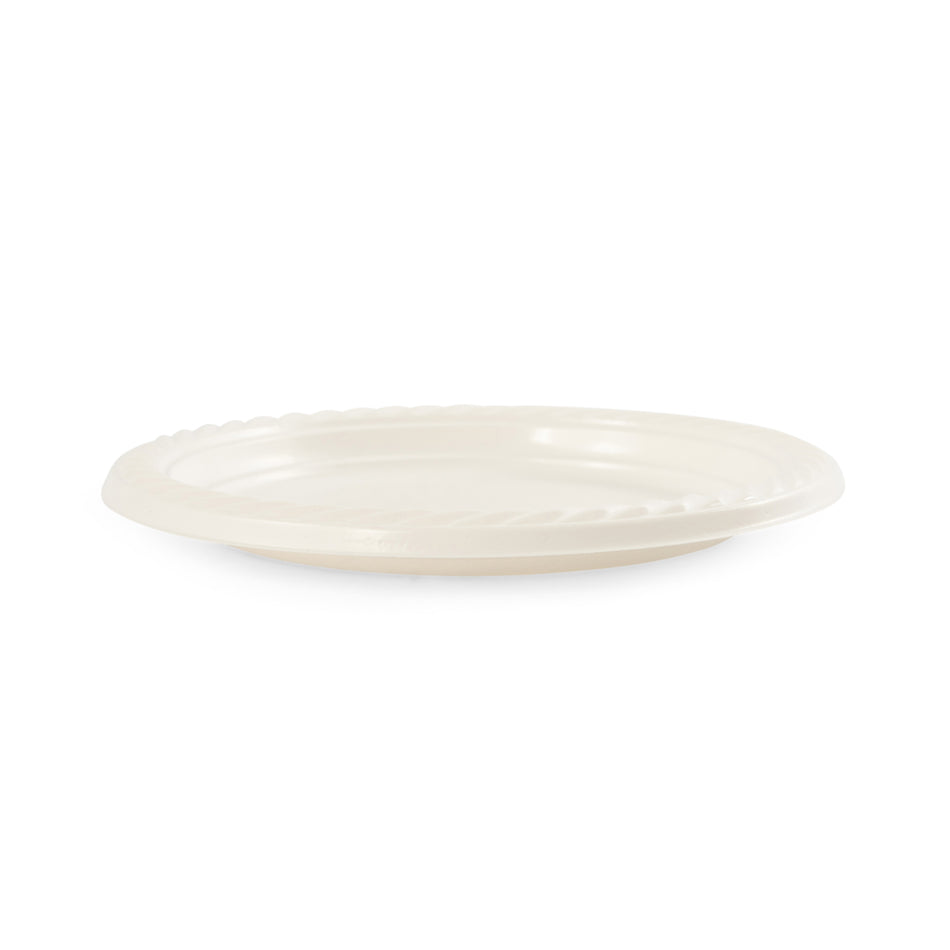 960 pcs 7" (175mm) Reusable Round Plastic Plates